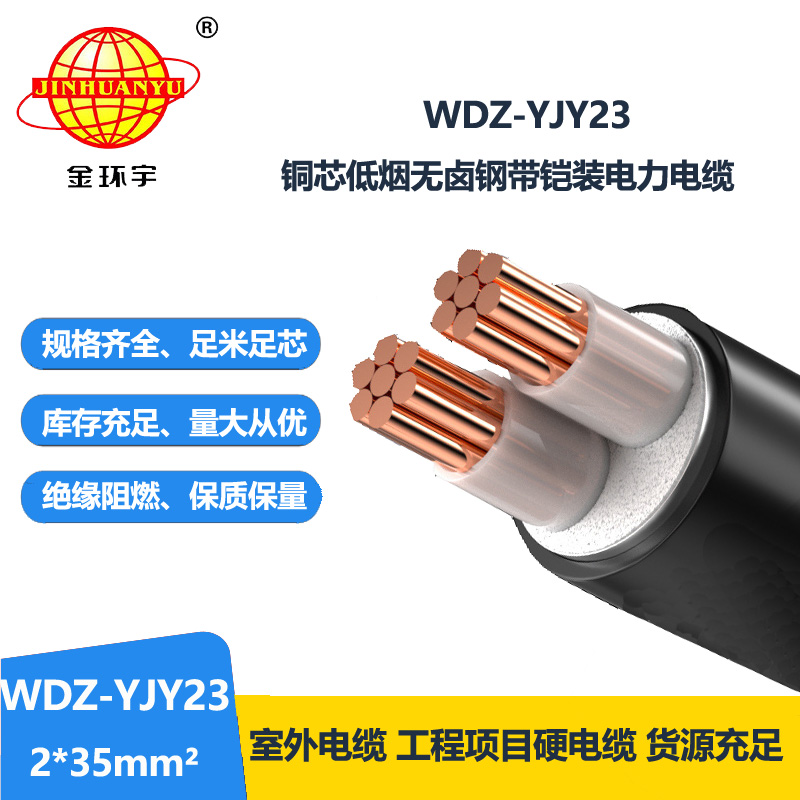 金环宇 2芯电力电缆 低烟无卤铠装电缆WDZ-YJY23-2X35平方