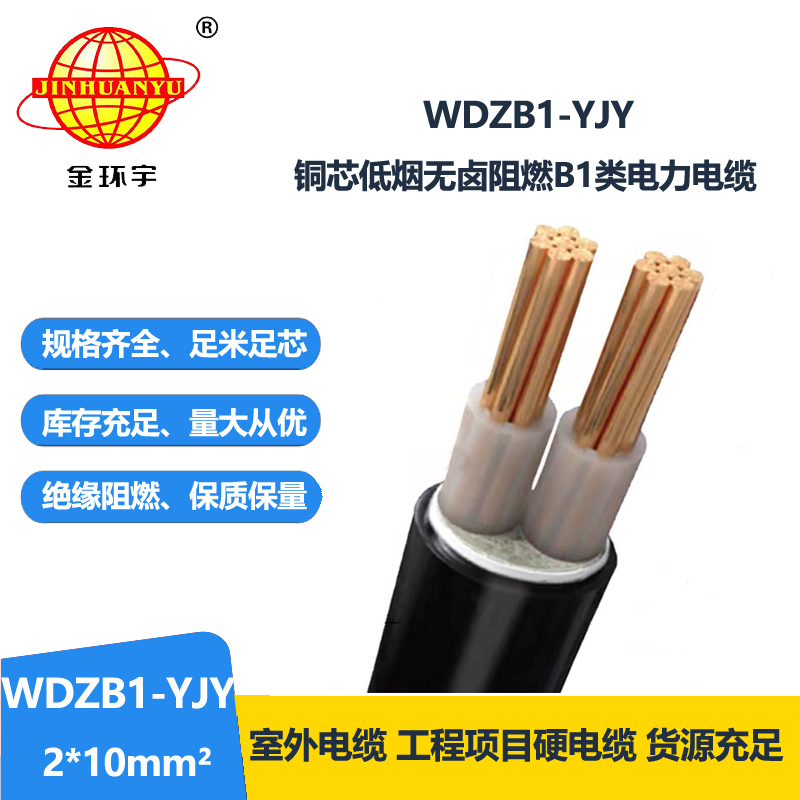 金环宇电线电缆 铜芯无卤低烟交联电缆WDZB1-YJY 2X10 阻燃b1级电缆